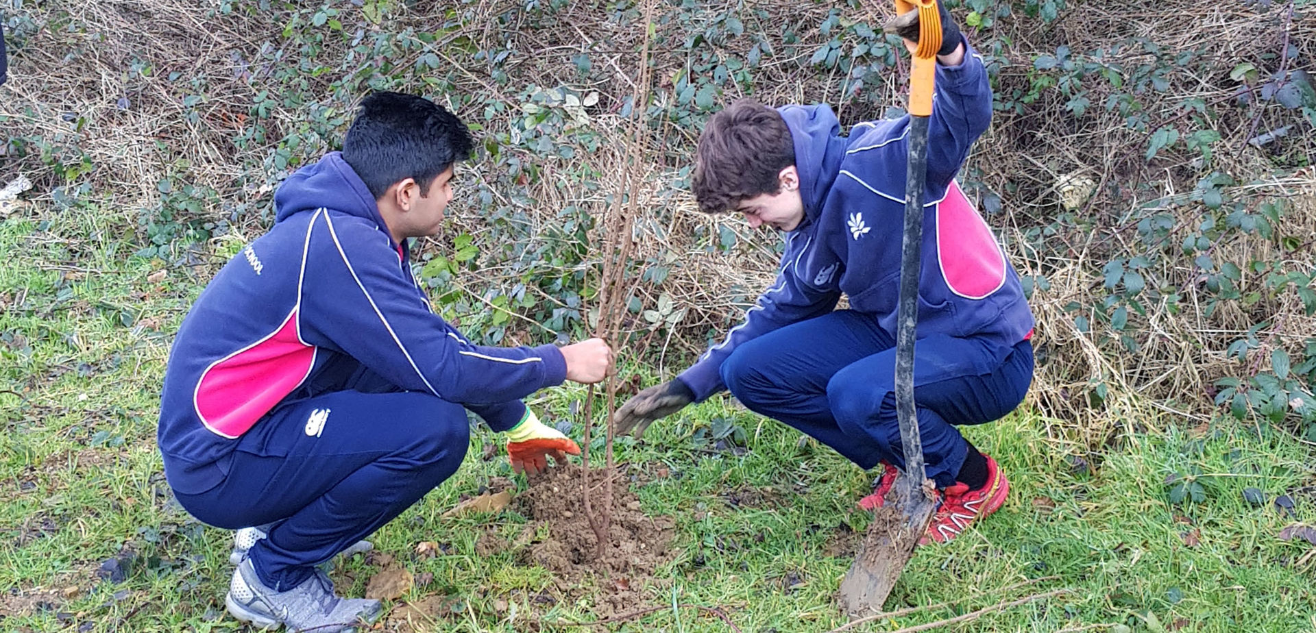 Tree Planting Week Sevenoaks School